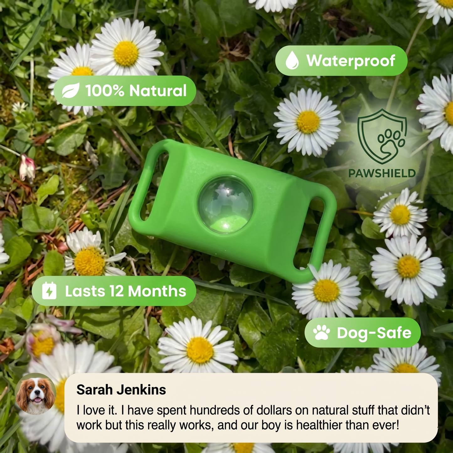 Paw Shield™ - 12 Months Flea & Tick Pendant