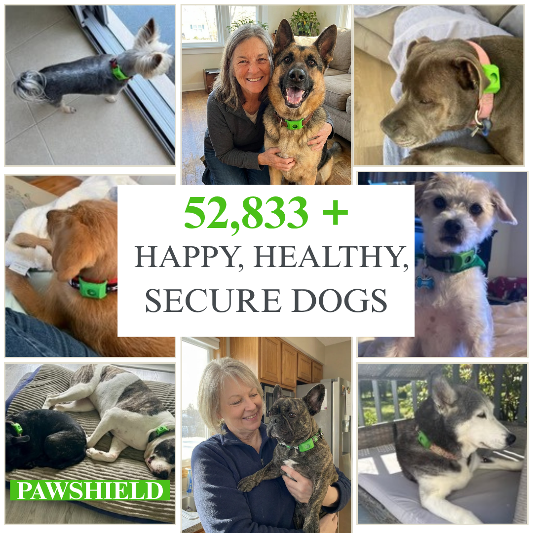 Paw Shield™ - 12 Months Flea & Tick Pendant