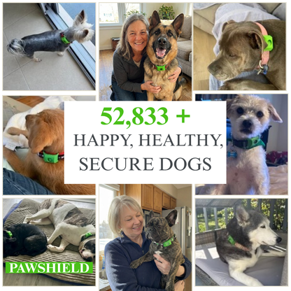 Paw Shield™ - 12 Months Flea & Tick Pendant