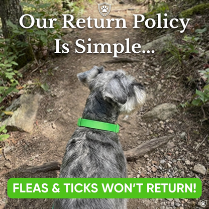 Paw Shield™ - 12 Months Flea & Tick Pendant